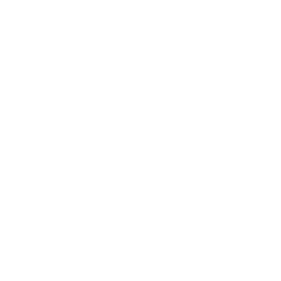 Zibadis